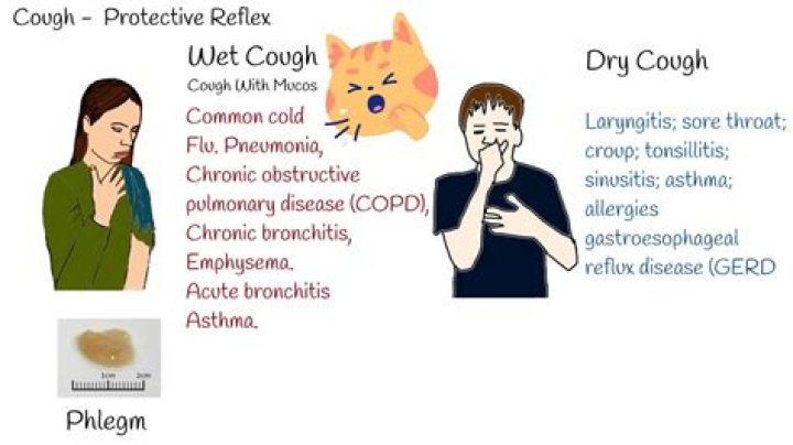 
Joe Biden is trembling, why? Coughing Is Just A Side Effect Of Covid Tests, Despite Social Media Concerns 