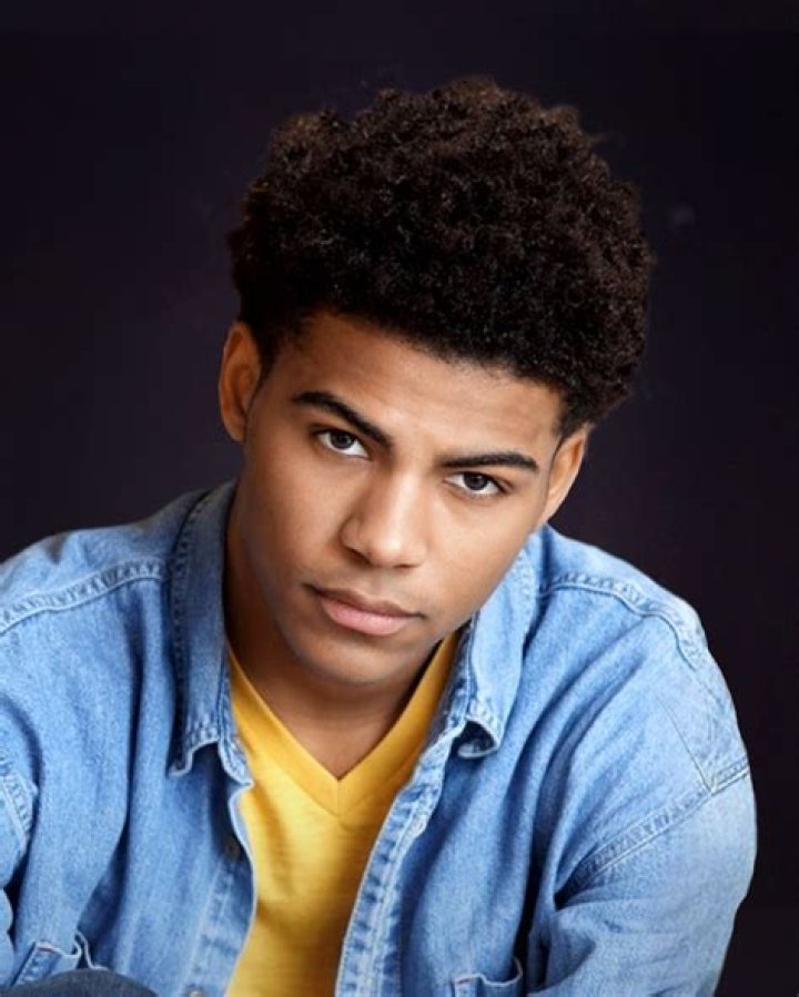 
Noah Alexander Gerry age, height, dating. Jason Alexander son’s Wiki Bio 